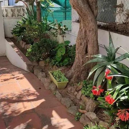 Apartamento Para Familia *